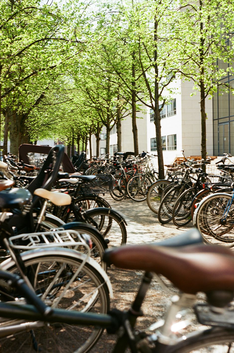 Cykelparkering - Foto af Nate Holland Unsplash